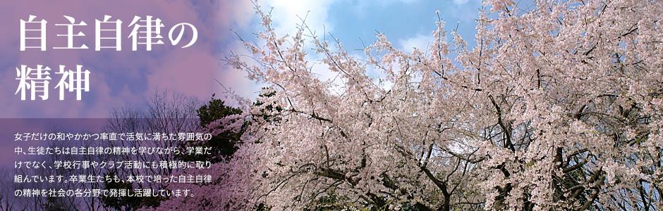 k8娱乐手机版登录